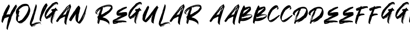 HOLIGAN Regular font