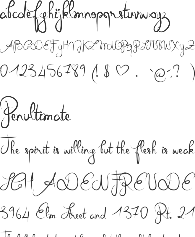 Queen of today font preview