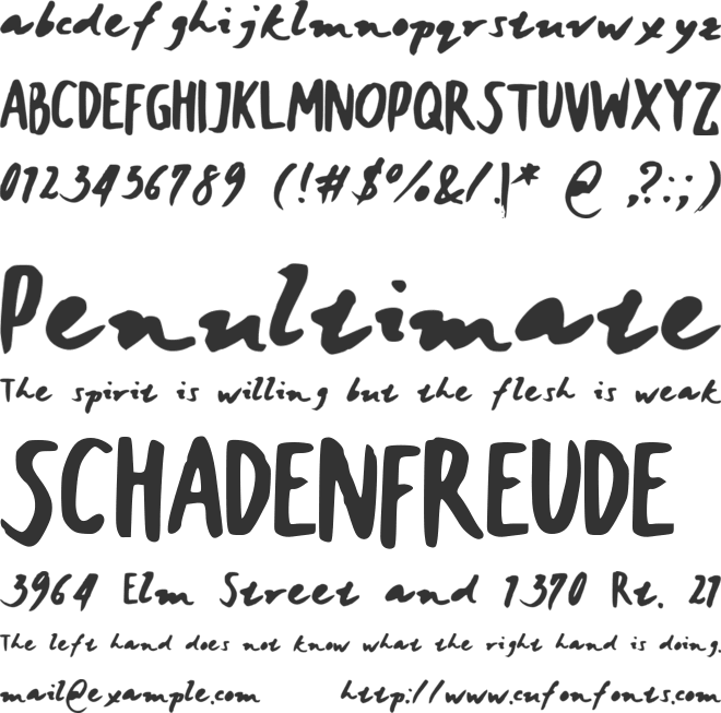 JaniceHandBold font preview
