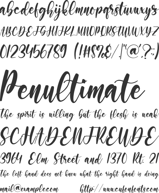 Daisilica font preview