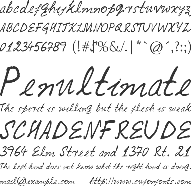 Caitanya font font preview