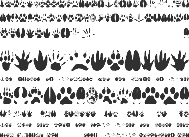 Animal Tracks font preview