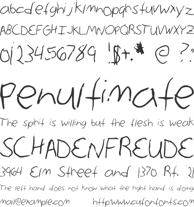 annie Max font preview
