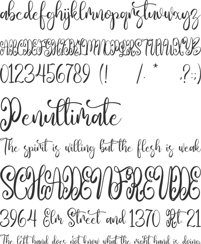 Fivety Likes font preview