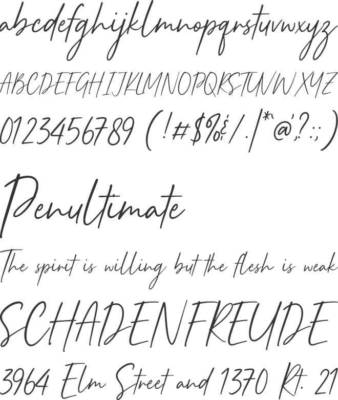 Carera Bernadia font preview