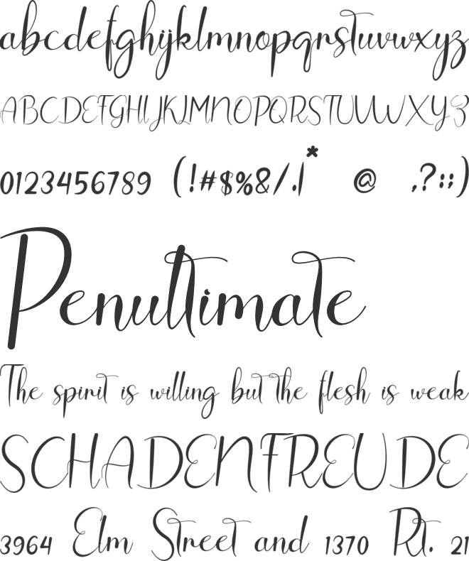 Lifestyle font preview
