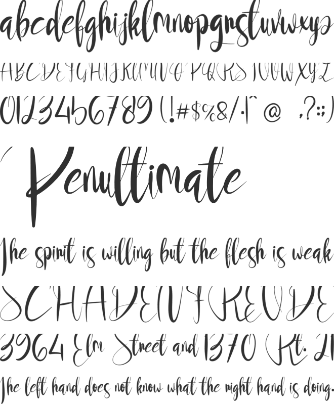 Flower House font preview