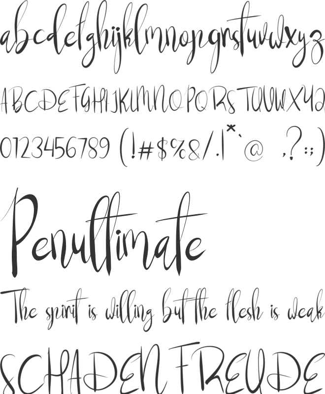 Boost Now font preview