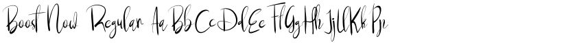 Boost Now Regular font