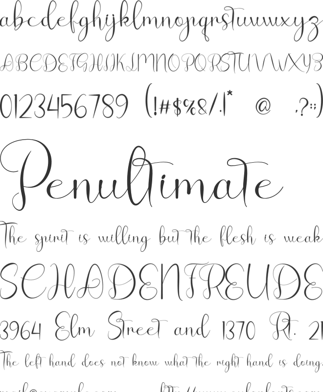 Allittes font preview