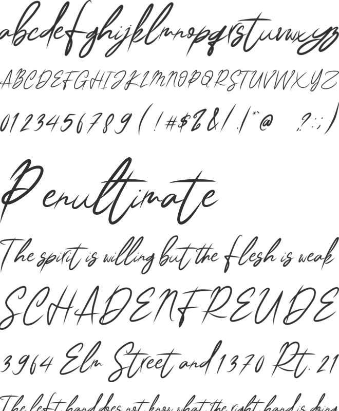 CLASSIC SIGNATURE DEMO font preview