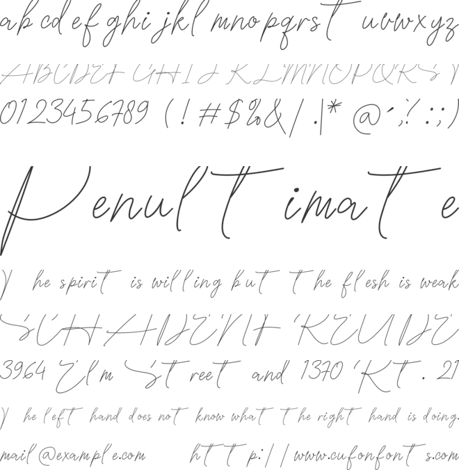 South Holland font preview