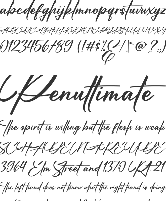 Madinah Authentic font preview