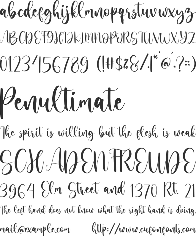 Carnation Script font preview