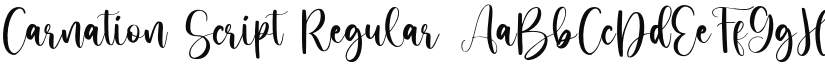 Carnation Script Regular font