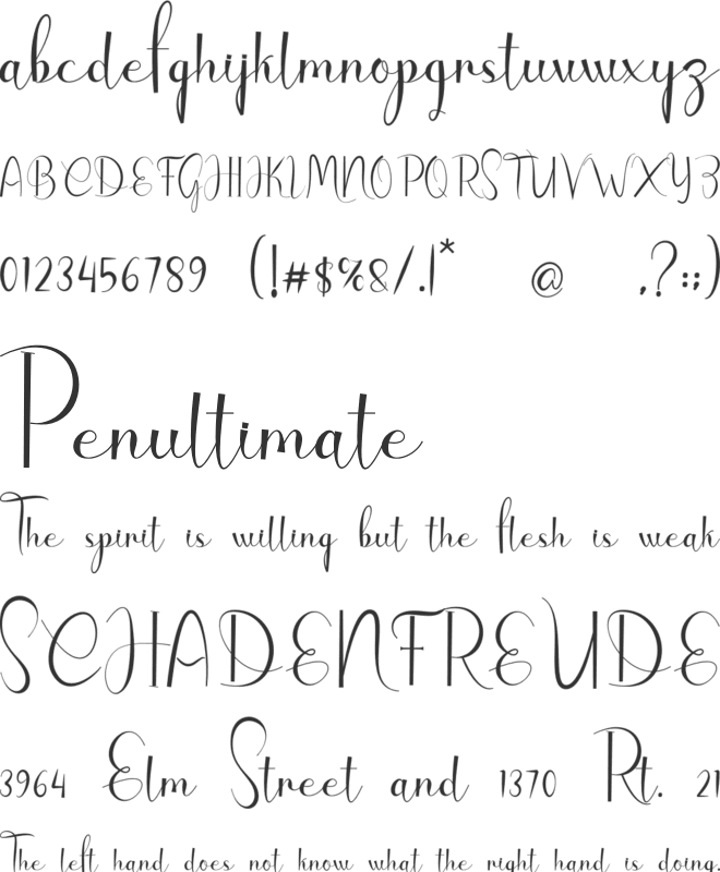 The Door font preview