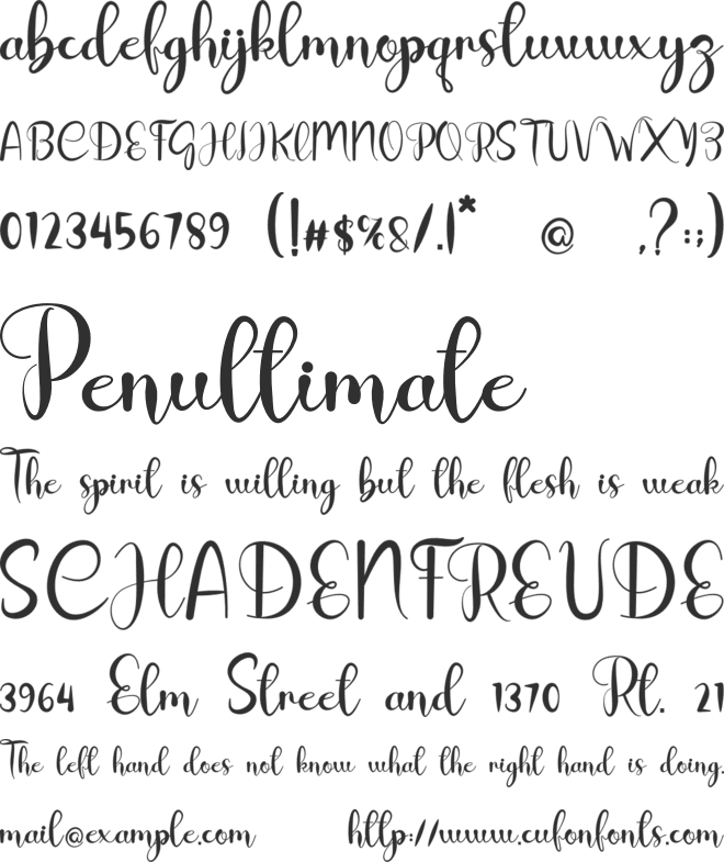 Snow Winter font preview