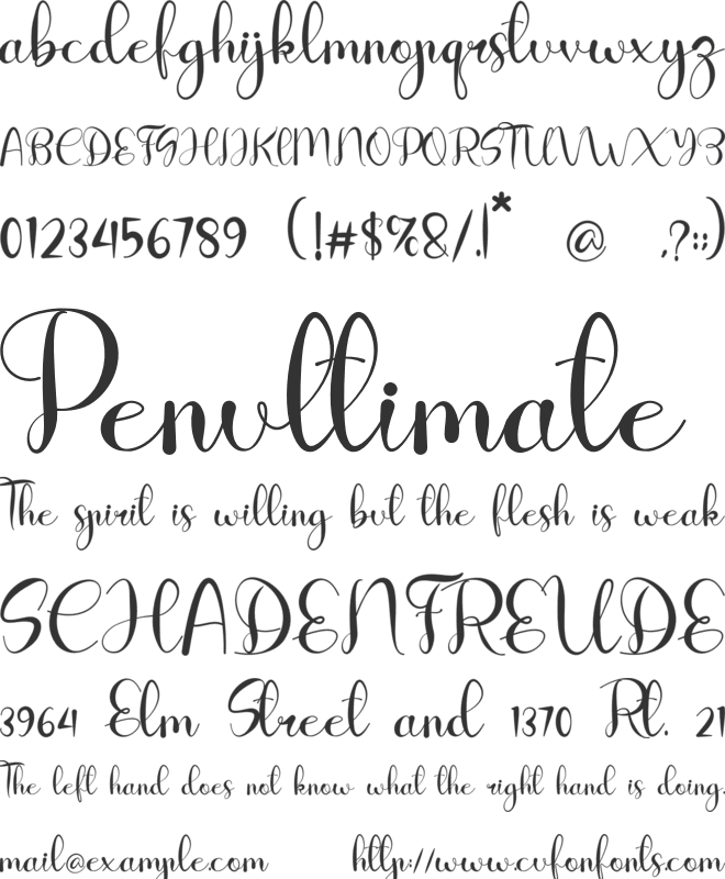 Shoottest font preview