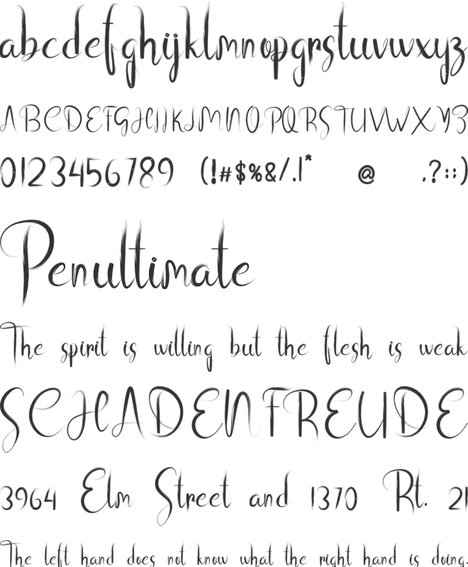 See Now font preview