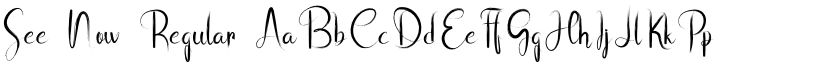 See Now Regular font