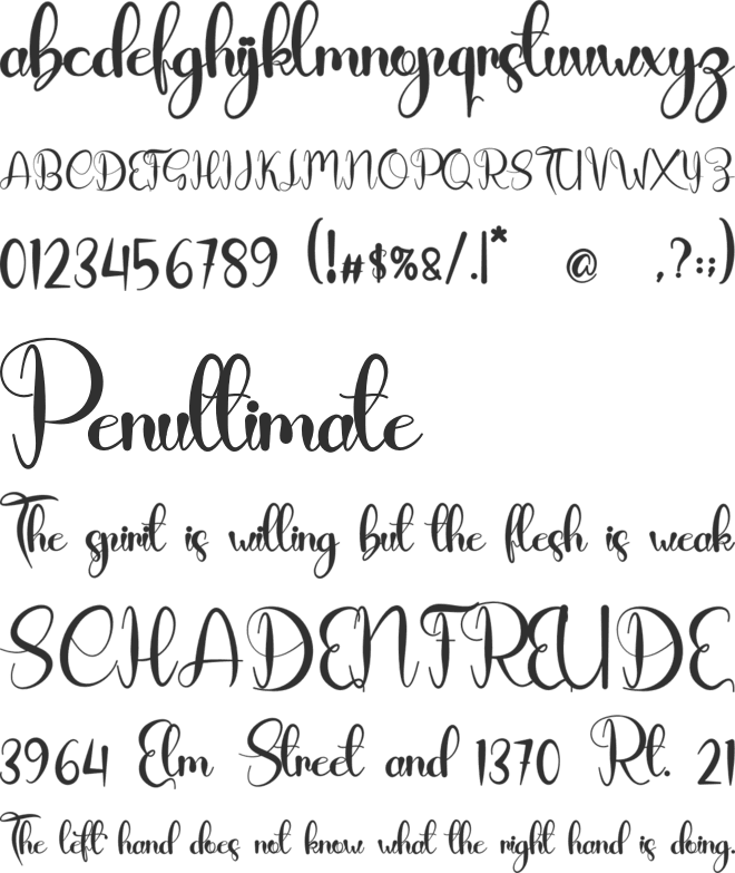 Sacha font preview