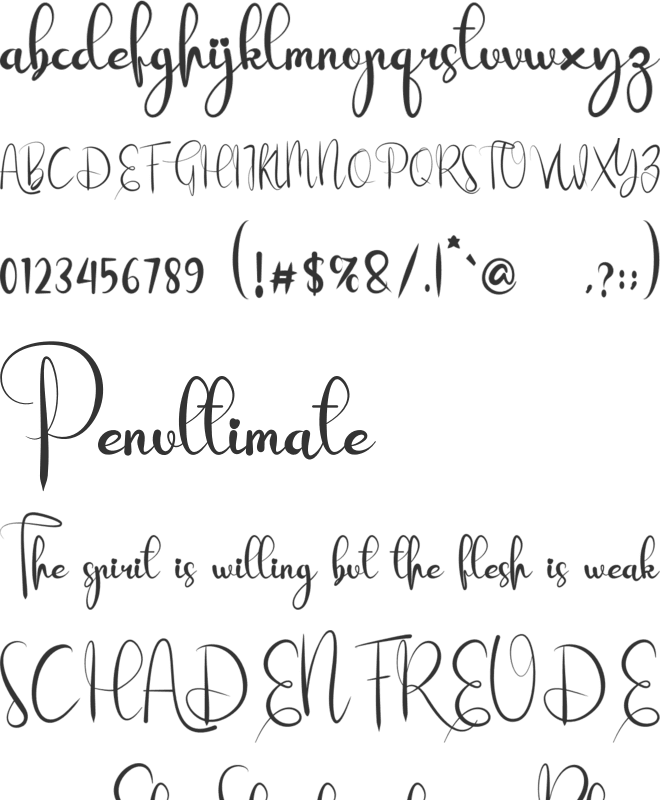 Raise Money font preview