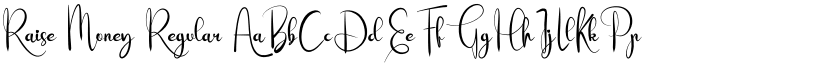 Raise Money Regular font