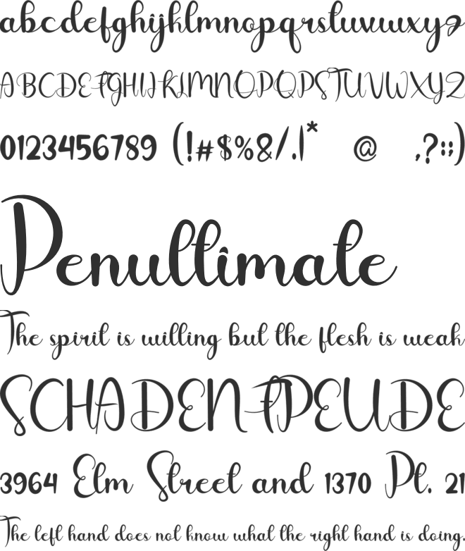 Oyster font preview