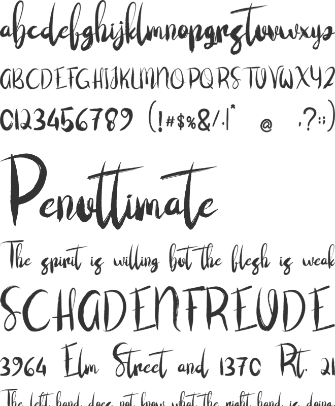 Nice Meet font preview