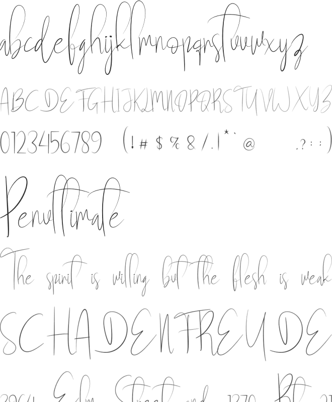 Newbies font preview