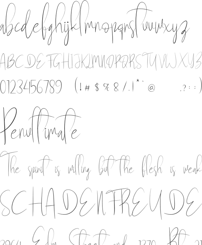 Newbies font preview