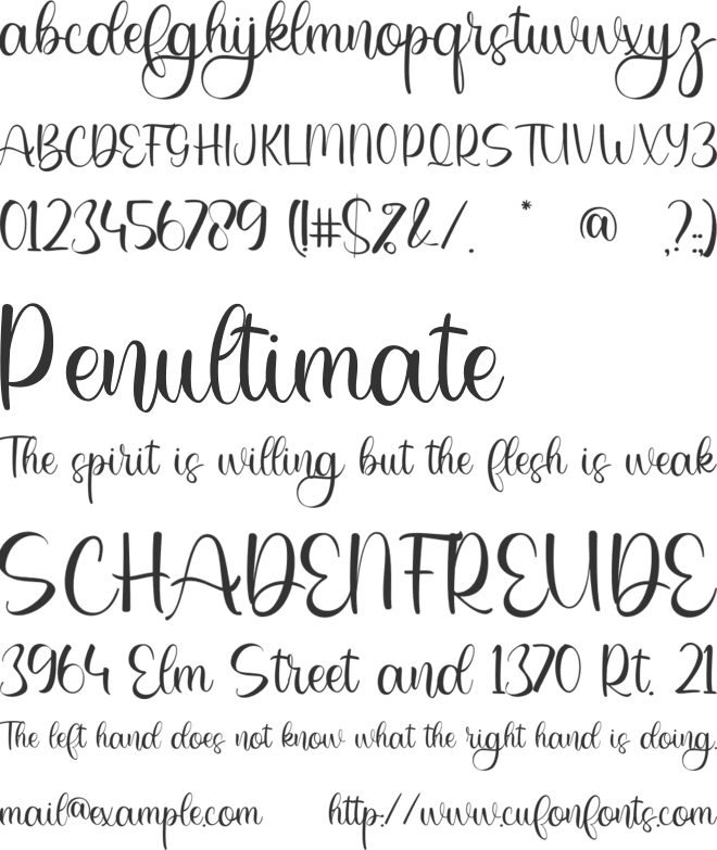 Jennifer font preview