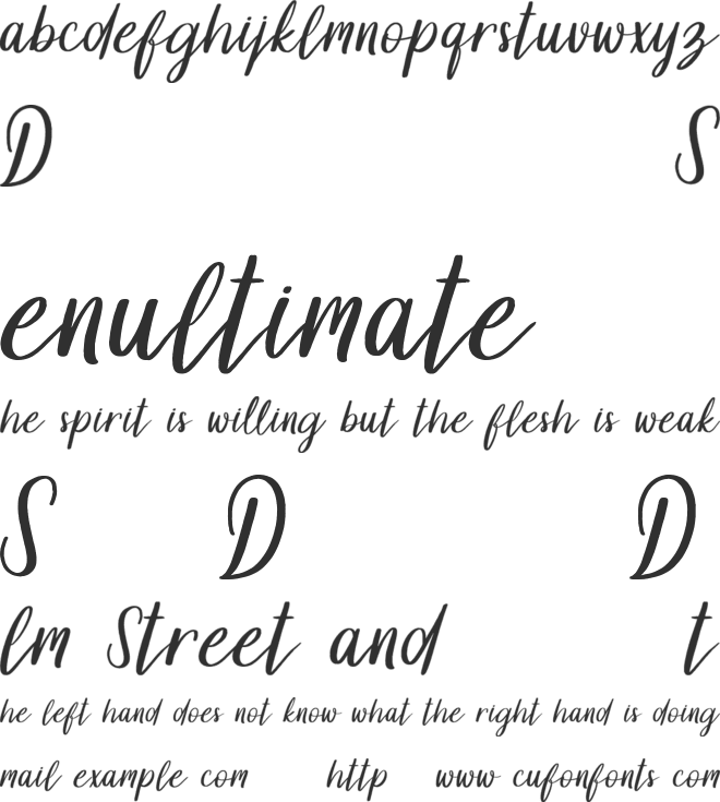 Dollyn Script DEMO font preview