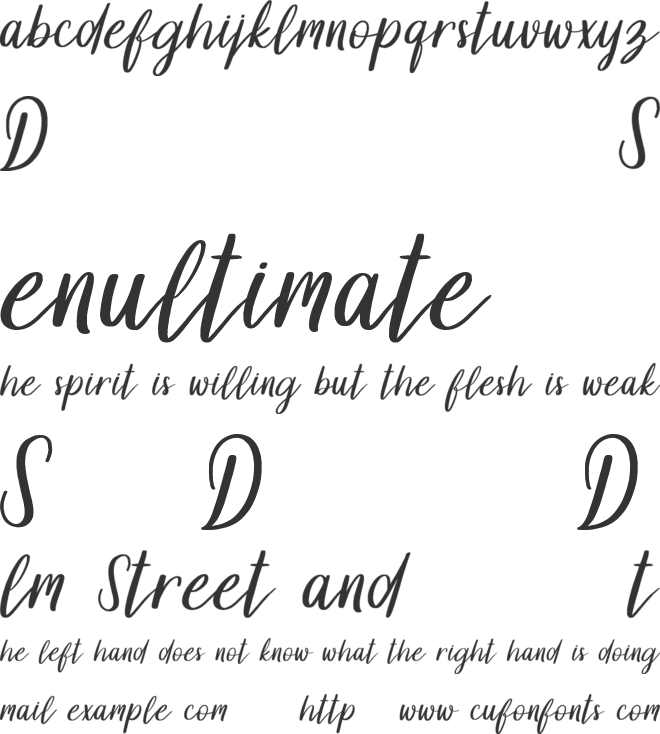 Dollyn Script DEMO font preview