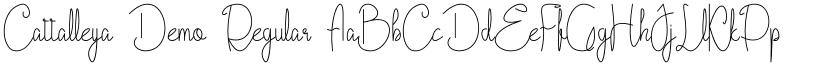 Cattalleya Demo Regular font