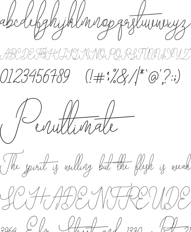 Van Basten font preview