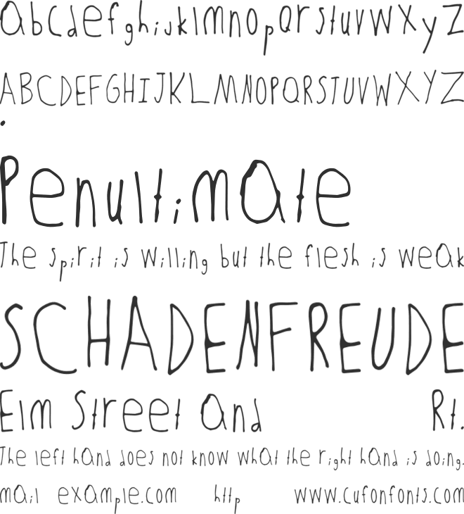 Zayd font preview