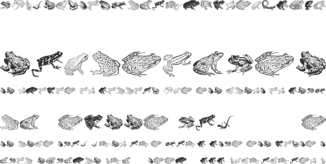 AmphibiPrint font preview