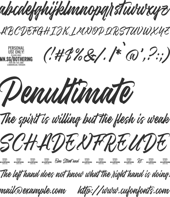 Bothering Script PERSONAL USE font preview