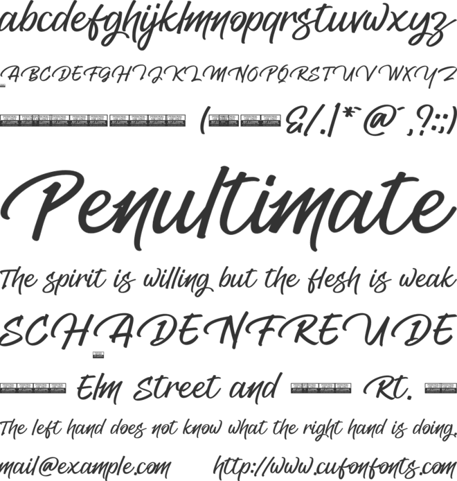 Delhus Fyione font preview