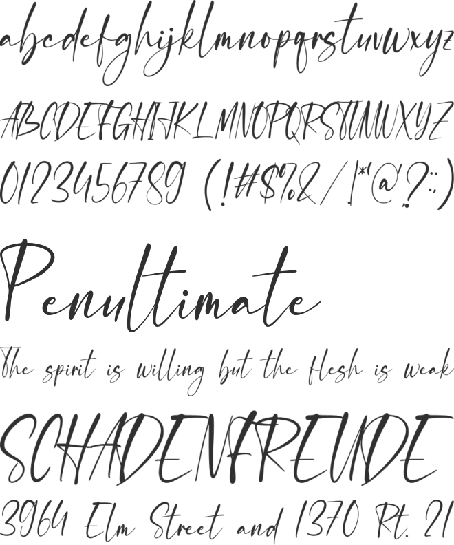 Stainfishy font preview