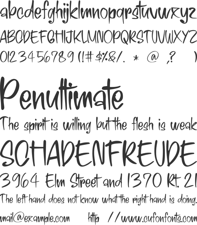 Signature Black font preview
