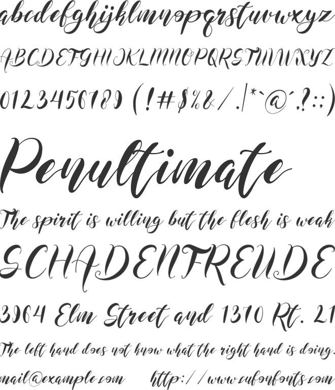 Maida Valley font preview