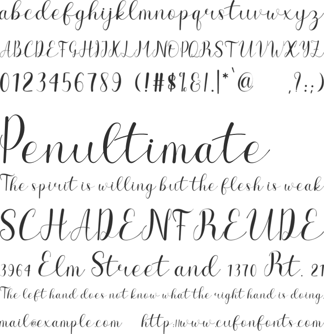 The Charlotte font preview