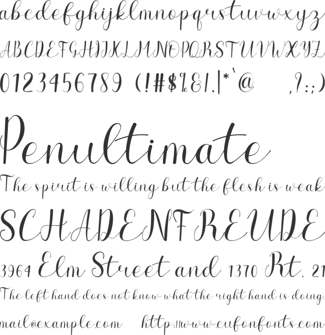 The Charlotte font preview