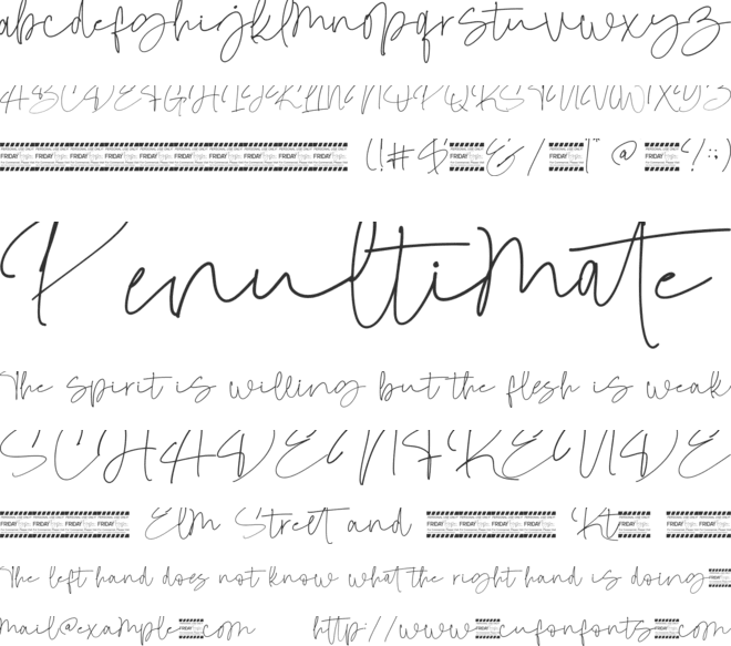 Otegan Signature Script font preview