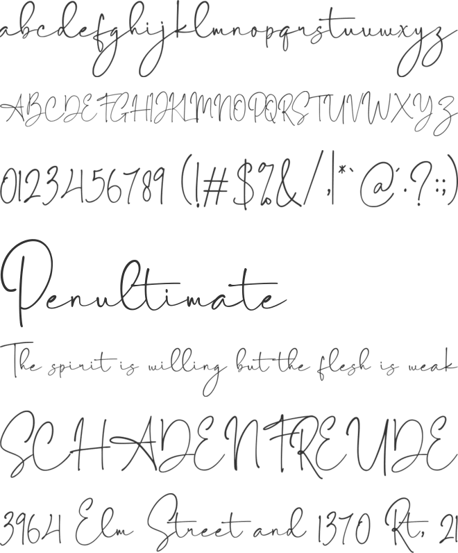 Sabila Renytha font preview