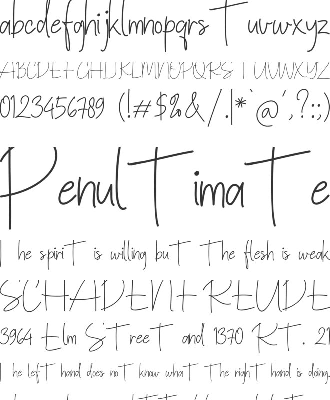 Rothwell Signature font preview