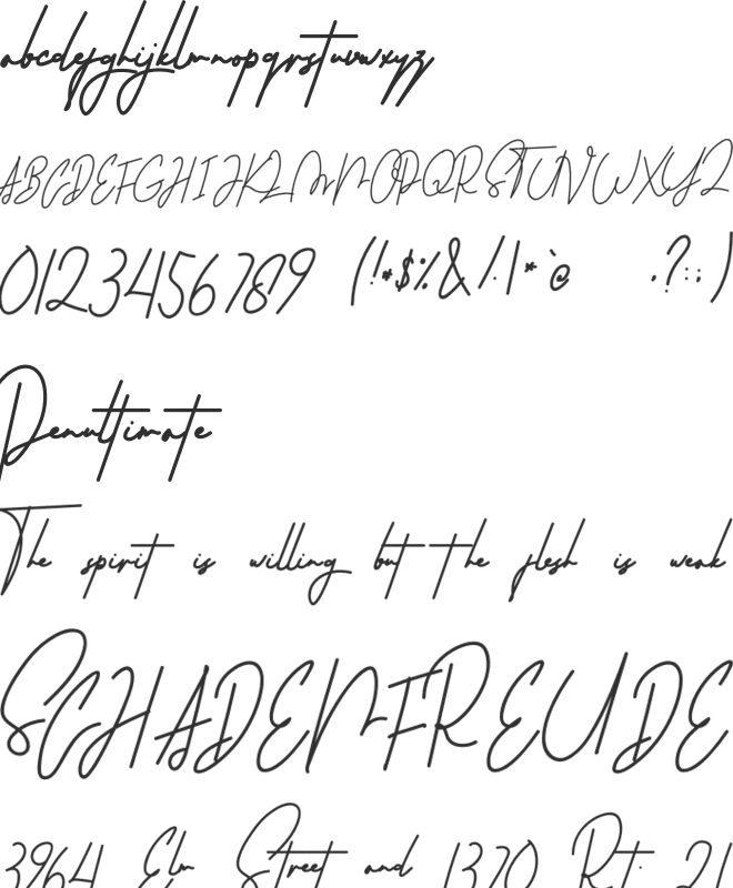 Martyna Signature font preview