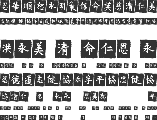 VT Mei Ornaments on Black font preview